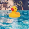 Swimming Pool Cute Duck shape Floating Chemical Chlorine Dispenser for