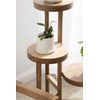 Kate and Laurel Fitley Modern 3 Tier Freestanding Plant Stand,