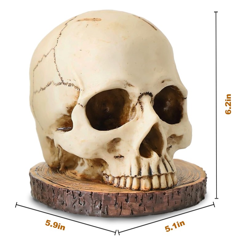 WALSIO Life Size Skull Knife Holder Resin Skull Shaped Knife