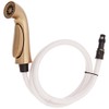 Delta Faucet RP53880CZ Pilar Spray Hose and Diverter Assembly, Champagne