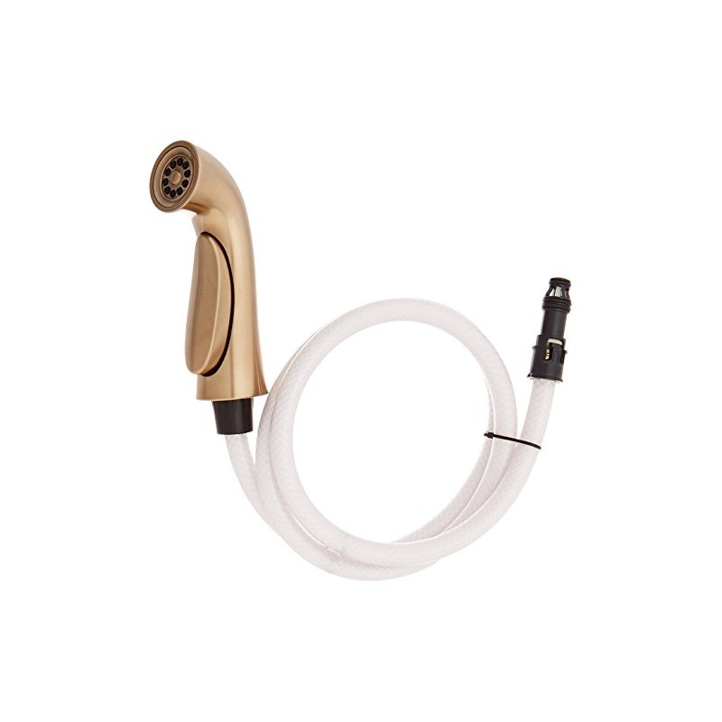 Delta Faucet RP53880CZ Pilar Spray Hose and Diverter Assembly, Champagne