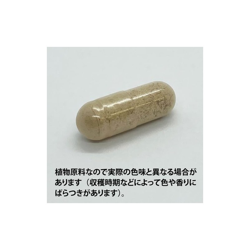 Erectic Echinacia RT (root) 360 mg x 45 capsules e041