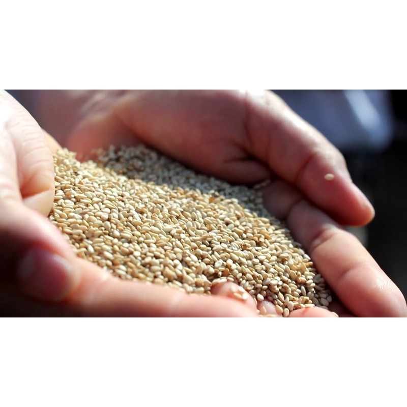 Sansoboeki Organic Virgin Sesame Oil 9.5 oz (270 g)