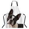 Xuwenz Boston Terrier Bib Apron with Adjustable Neck for Men