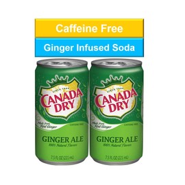Ginger Ale Mini Soda Cans, 7.5 oz Soft Drinks Bulk Snacks Pack, Small Refrigerator & Snack Pantry Drink 12 Count Beverage Kitchen Supplies