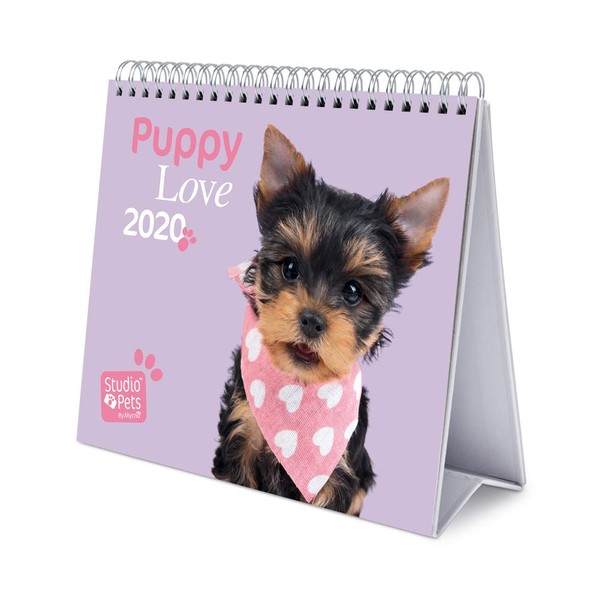 Erik - Studio Pets Dogs 2020 Desk Calendar - 12