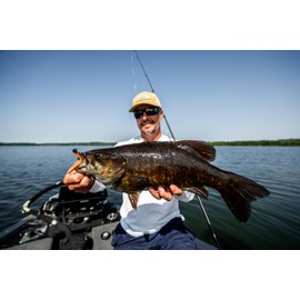 Rapala Crushcity Ned's BLT Fishing Lure Size 7.5cm/3.5g Freshwater Lure Variable Swimming Depth Fishing Tackle with TPE Construction Bass P