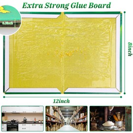 Jaydear 6 Pack Pest Sticky Pad Traps Boards, Household Sticky Pests Trap Boards, Efficient Pack Of Glue Boards for Indoor Outdoor Home Kitchen Office & Garden