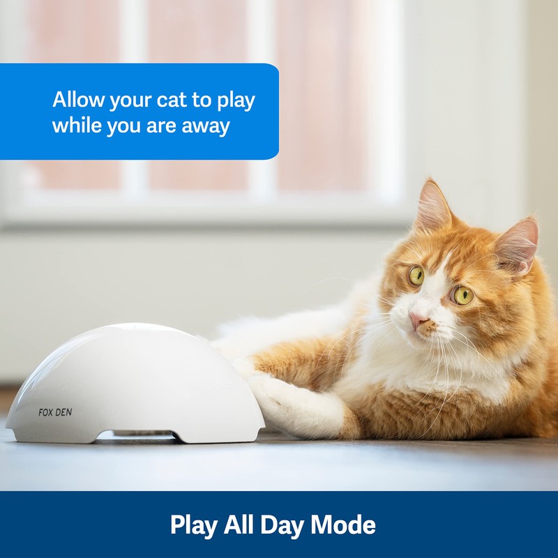 PetSafe Fox Den Automatic Interactive Cat Toy,White
