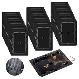 Qualirey 36 Pack Mouse and Insect Glue Traps, Strong Sticky Mice Traps Indoor for Home, Pre Scented Rodent Pads with Non Toxic Glue for House Garage, Ready to Use, Safe to Children and Pets (Black)