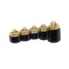 Lisle 10810 Injector Rail Fuel Line Cap Set, 5 pc.