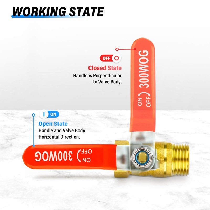 TAILONZ PNEUMATIC 6PCS 1/2 Inch Brass Mini Ball Valve Shut