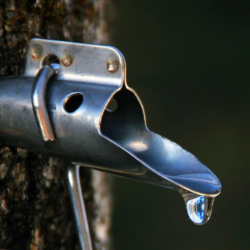 Maple Syrup Tree Tapping Kit - Includes (2) Maple Syrup