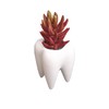 YOUYA DENTAL Succulent Plant Pots, Cute Tooth Shape White Ceramic