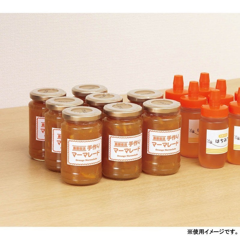 コクヨ プリンタ兼用 ラベルシール 18面 22枚 KPC-E1181-20