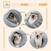 PAWZ Road Beautiful foldable cat tunnel, cat toy with ball,