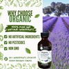 Organic Lavender Extract for Baking, Ice Cream, Drinks, and Candy