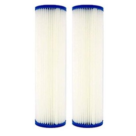 Rein Pack of 2 Watts (WPC20-975) 9.75"X2.75" 20 Micron Pleated Sediment Filters