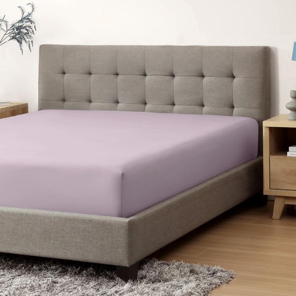 Circles Home, Premium Sateen 300TC Fitted Sheet, Lavender, Full