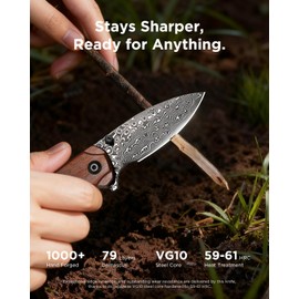 ZestMax Folding Pocket Knife for EDC, 2.99" Damascus Blade Guibourtia Wood Handle Small Sharp Pocket Knives with Clip for Men Women Camping Hiking Survival Outdoor Mini 3080WB (Brown)