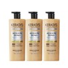 Organist Argan Nutrition Care Shampoo 500ml 3pcs / 오가니스트 아르간