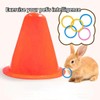 Rabbit Training Ring Toy, Rabbit Interactive Toy, Bunny Educational Toys