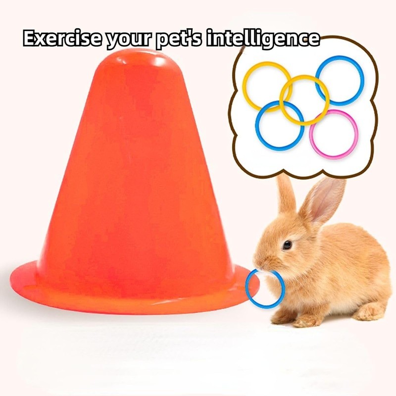 Rabbit Training Ring Toy, Rabbit Interactive Toy, Bunny Educational Toys