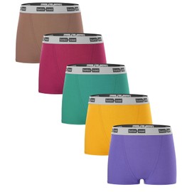 BAMBOO COOL Womens Boxer Briefs Underwear Soft Stretch Boy Shorts Panties for Women, 5-Pack S