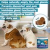Ameizpet Anal Gland Soft Chews Treatment For Dogs, Functional Digestive