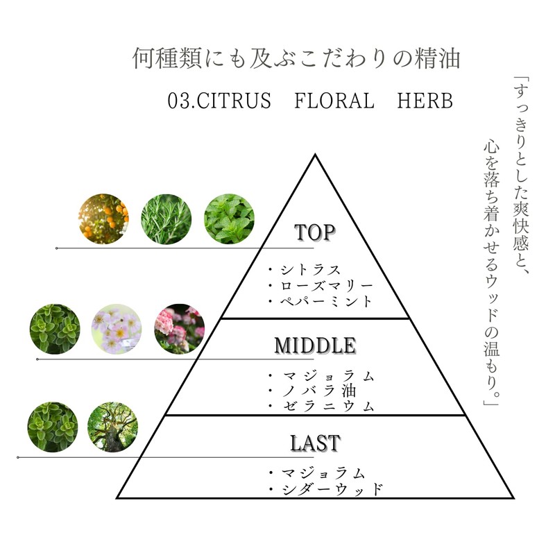 03. Soothing Balance Serum