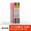 エーワン ラベルシール ファイル背面用ラベル 13面 20シート 31427