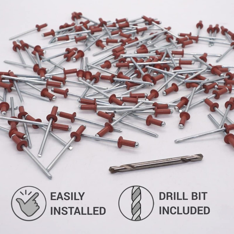 SKIR'CO Pack of 100 blind rivets painted 3.2 x 8