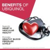 Complejo B Completo - Suplemento Potenciado - Incluye Vitaminas (B1,
