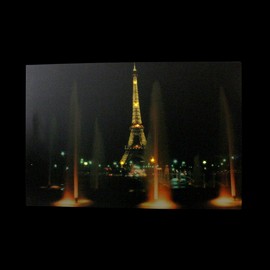 Northlight LED Lighted Famous Eiffel Tower Paris France at Night Canvas Art 15.75" x 23.75" Wall Decor, Black