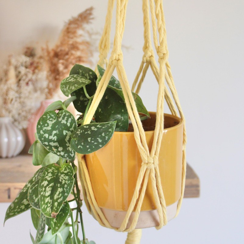 Piglet&Chestnut DIY Plant Hanger Kit, Macrame Beginner Kit, DIY Craft