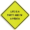 Life Is A Party And I'm A Pinata Funny Mexican