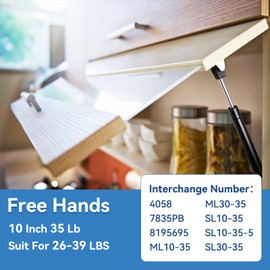 ARANA 10" 35Lb Gas Struts Spring Shocks 10 inch lift support for The Truck Tool Box Pickup Toolbox Lids Boat Rod Locker Replacement, 2 Pack