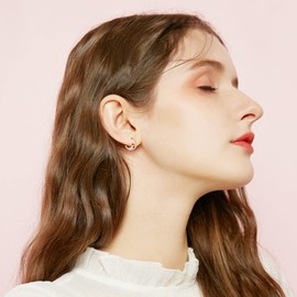 KINGWHYTE Dinosaur Earrings for Women S925 Sterling Silver Small Hypoallergenic Hoop Earrings Sleeper Earring Dinosaur Jewelry Valentines Day Gifts for Her