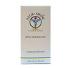 Ayur-Medic Spot Healing Gel for Blemished Skin