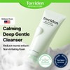 TORRIDEN Balanceful Pore Cleansing Foam (50ml/150ml)