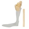 Ankle Foot Drop Brace Ultra Thin Postural Correct Lightweight Cuttable