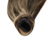 Easyouth Highlighted Wrap Around Ponytail Hair Extensions 20 Inch 100g