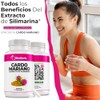 Bioherb Cardo Mariano Extracto Silimarina Cápsulas 500
