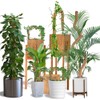 Craft911 Moss Pole Monstera Plant Support – 48” Bendable Moss