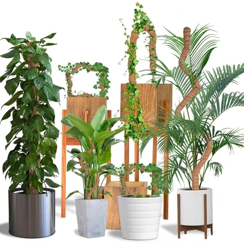 Craft911 Moss Pole Monstera Plant Support – 48” Bendable Moss