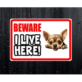Chihuahua Sticker Beware I Live HERE House Home Window Door Porch Printed Decal