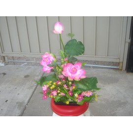 Plastic Artificial Lotus Flower with Black Square Procelain Pot