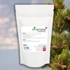 Nutrics® French Maritime Pine BARK Extract 50g Powder standardised 95%
