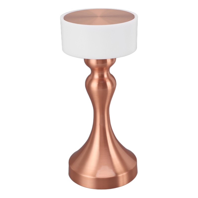 Table Lamp 3 Modes Stepless Dimmable LED Touch Cordless Metal