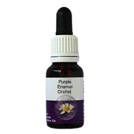 Living Essences Purple Enamel 50ml